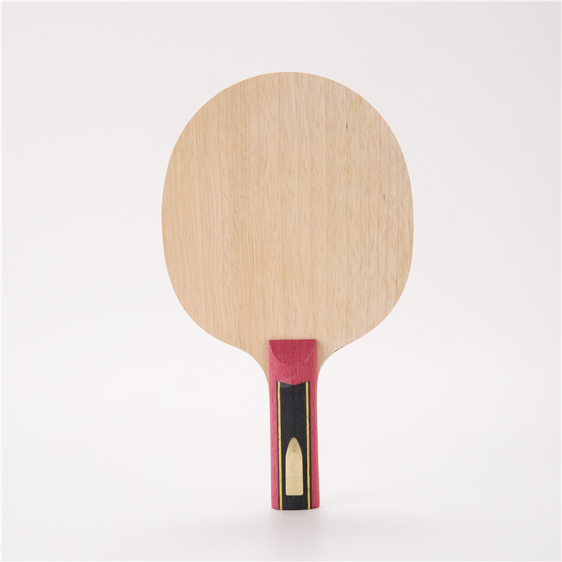 Stuor 5 Lagen Hout Met 2 Lagen - Stiga Carbon Blade recensie en prijs