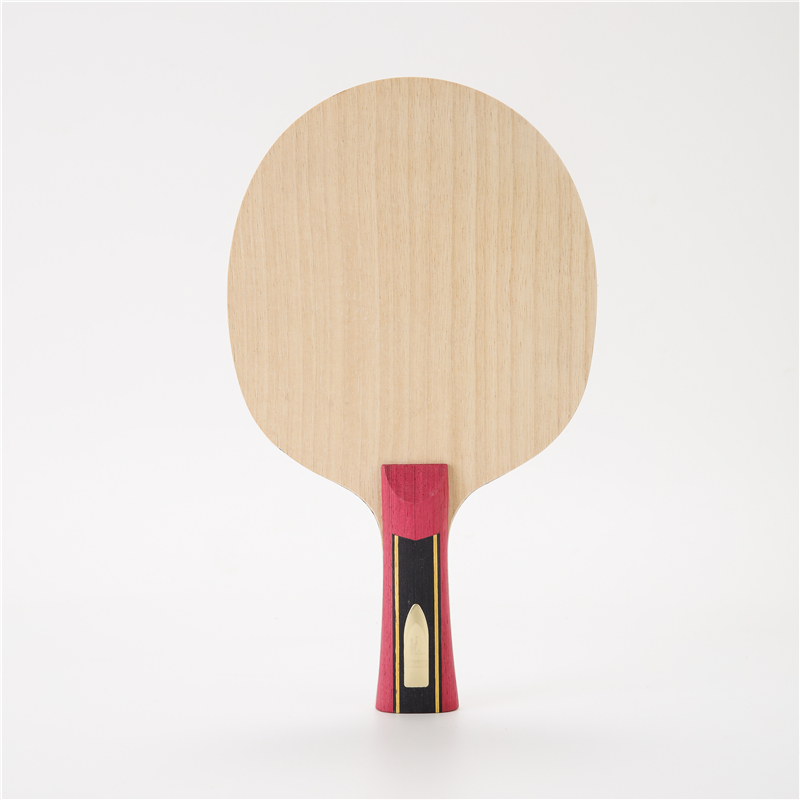 Stuor 5 Lagen Hout Met 2 Lagen - Stiga Carbon Blade recensie en prijs