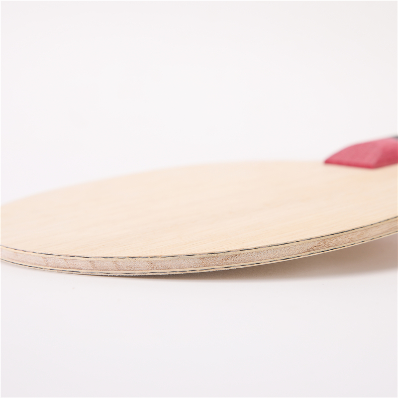 Stuor 5 Lagen Hout Met 2 Lagen - Stiga Carbon Blade recensie en prijs